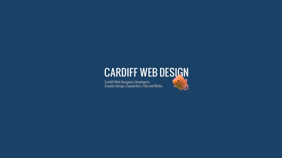 Blog Post 1